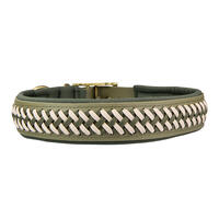Trendfhrte Hundehalsband BioThane