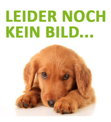 Webinar: Warum bellt mein Hund