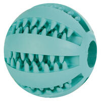 Zahnpflege-Ball
