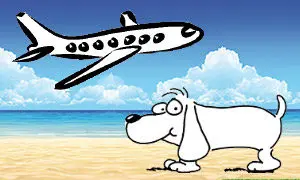 hund-im-flugzeug-300x180 hund-im-flugzeug-300x180